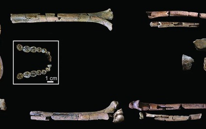 Lộ diện bộ hài cốt cổ xưa nhất của "loài người thực thụ"
