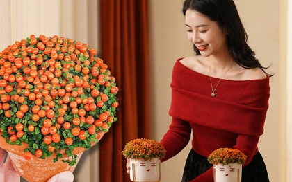 "Bảo bối" phong thủy mới cho Tết Bính Ngọ 2026: Tên nghe sang chảnh, bé xíu xiu mà hút lộc cả năm