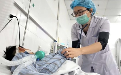 Không được tiêm phòng sau khi bị chó hoang cắn, bệnh nhi nguy kịch vì bệnh dại
