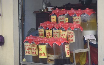 Rượu thuốc: Hiểu đúng để sử dụng an toàn