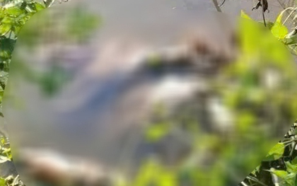 Phát hiện thi thể thiếu nữ với vết thương trên cổ