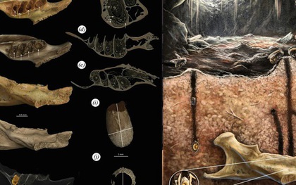 Phát hiện “hóa thạch lồng hóa thạch” có một không hai