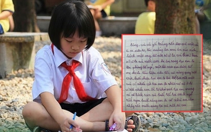 Bài văn tả ngày nghỉ được đi chơi gây "choáng": Dù là tiếng Việt nhưng thách bạn dịch được đấy!