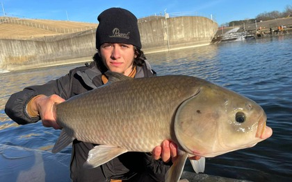 Sống hơn một thế kỷ, không lão hóa và nghịch lý sinh tồn của loài cá cổ đại Bắc Mỹ đang bị lãng quên