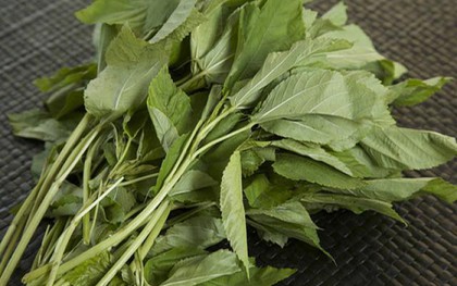 Việt Nam có loại rau nhiều sắt hơn thịt bò: Bổ tim, ngừa ung thư nhưng nhiều người chê không ăn