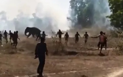 Voi dữ tấn công khiến 22 người tử vong, dân làng hoảng sợ