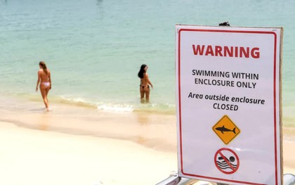 Cá mập tấn công người liên tiếp, Australia đóng cửa 40 bãi biển