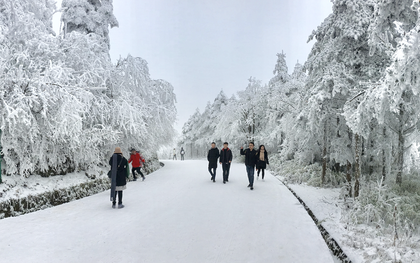 Khách Việt bị cấm mặc áo hoa lên núi khi du lịch Trung Quốc, nghe lý do xong không ai dám trái lời
