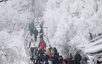 Khách Việt bị yêu cầu giấu túi nilon đi khi du lịch Trung Quốc, lý do phía sau khiến ai cũng lạnh sống lưng
