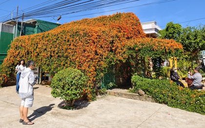 Căn nhà đang "nổi như cồn" ở Lâm Đồng