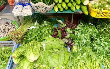 Loại rau tốt bậc nhất thế giới, bổ ngang nhân sâm tổ yến, chợ Việt bán đầy từ 15.000 đồng/kg