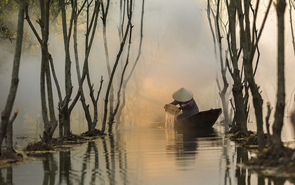 Lập kỷ lục chưa từng có, mặt hàng Việt Nam khiến Trung Quốc thích mê, ồ ạt thu mua
