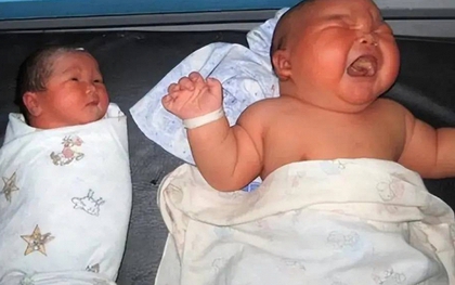 Mang thai, ngày nào cũng "bồi bổ" món này, mẹ trẻ sinh con nặng gần 5,5kg: Bác sĩ thở dài cảnh báo trí não trẻ bị ảnh hưởng