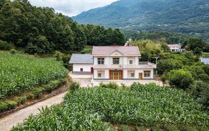 Gia đình 5 người dân phố dắt nhau về ngoại ô, mua đất trên đồi xây “vườn cổ tích”, 2 năm sau tán gia bại sản: Cái giá thật của giấc mơ dưỡng già