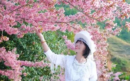 Đổ xô du lịch Sa Pa, Mù Cang Chải