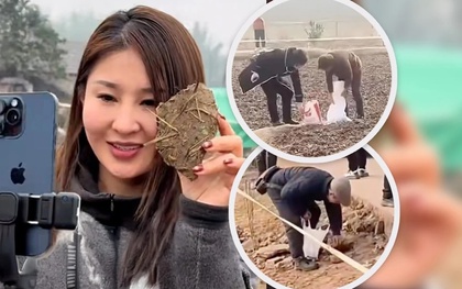 'Cơn cuồng hot girl mổ lợn Tết’ và biến tướng mua bán ‘đất may mắn’ ở Trung Quốc