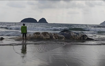 Vật thể lạ dài 11m dạt vào bãi biển nổi tiếng khiến nhiều người kinh hãi, cơ quan chức năng vào cuộc điều tra