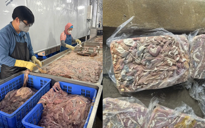 Cận cảnh hơn 60 tấn lòng lợn bốc mùi nằm trong kho lạnh nhiều tháng ở Hà Nội, chuẩn bị tuồn ra thị trường dịp cận Tết