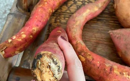 5 loại thực phẩm ngon bổ này sẽ hóa "thuốc độc" khi bị mốc, loại đầu tiên đang được bán với số lượng lớn: Nếu nhà bạn có, vứt bỏ ngay đi!