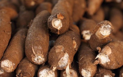 Sản vật được ví như "vàng trắng" dưới lòng đất hơn tỷ USD của Việt Nam xuất khẩu top 3 thế giới đang gặp khó