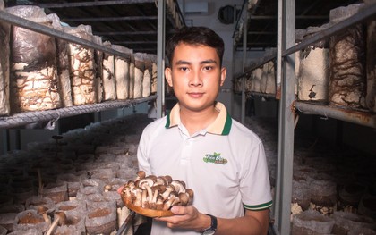 Bỏ phố về quê, chàng trai 3 bằng đại học khởi nghiệp trồng nấm