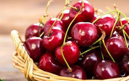 Chọn mua cherry đón Tết 2026: Phương pháp "4 hình thức và 1 mùi hương" mà rất nhiều người không biết