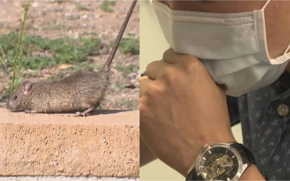 Nóng: Xuất hiện 1 ca tử vong do virus truyền nhiễm từ động vật sang người sau đúng 8 ngày có triệu chứng