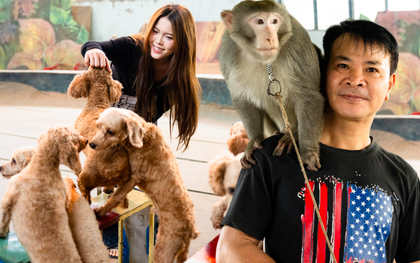 Đi thăm trâu, khỉ, ngựa... giữa trung tâm Thủ đô và nghe những chuyện thấy "bận lòng"