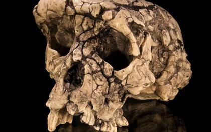 Hài cốt bí ẩn này có thể là tổ tiên sớm nhất của loài người