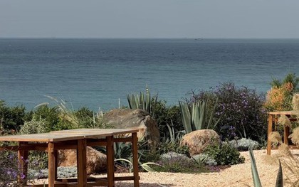 Sự thật về hòn đảo cảnh như phim, được quảng cáo "chỉ cần qua cửa khẩu Móng Cái": Nhiều người đã nhầm