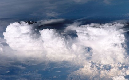 "Không ai biết vì sao điều này lại xảy ra": Các nhà khoa học toàn cầu chạy đua để giải mã 1 hiện tượng lạ