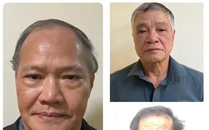 Vụ cựu thứ trưởng nhận hối lộ 200.000 USD: Thu giữ 175 miếng vàng, 204 sổ đỏ và hàng chục tỷ đồng của các bị can