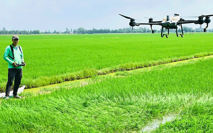 2 hoạt chất thuốc bảo vệ thực vật sắp bị cấm sử dụng tại Việt Nam