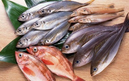Top 4 loại cá "ngậm" nhiều thủy ngân bậc nhất
