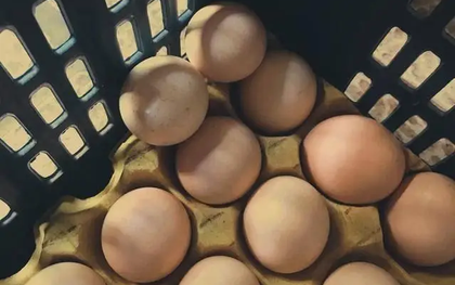 Ra chợ mua trứng gặp 3 loại này, ngon rẻ mấy cũng đừng mua