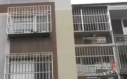 Cô ruột qua đời nhưng di chúc bị cha giấu đi, con gái mất trắng căn nhà trị giá hơn 10 tỷ đồng