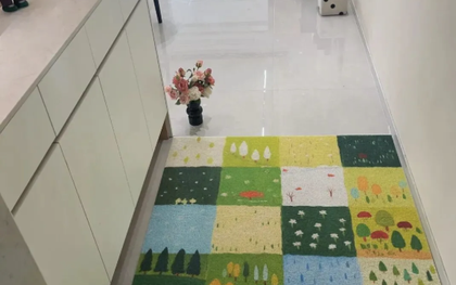 Ngày càng nhiều người từ biệt thảm chùi chân trước cửa, không phải tiết kiệm mà vì quá phiền