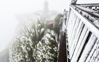 Nhiệt độ giảm xuống -3°C rạng sáng, băng giá phủ trắng đỉnh Fansipan