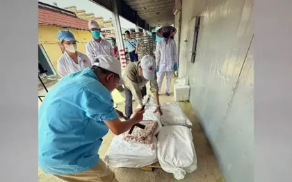 Phát hiện đường dây mua bán hơn 130 tấn thịt lợn bệnh