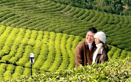 Giới trẻ nườm nượp check-in đồi chè Cầu Đất