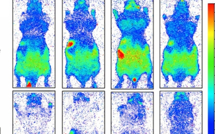 Con người thực sự đang phát sáng và sẽ tối lại sau khi chết
