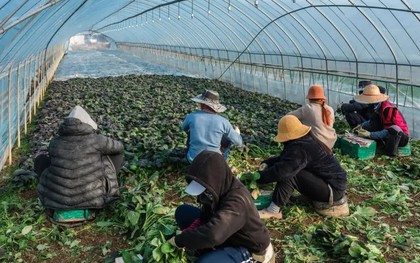 Hàn Quốc mở đợt cao điểm toàn quốc trấn áp nạn bóc lột lao động di cư