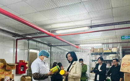 Hà Nội: Đình chỉ hoạt động một cơ sở sản xuất gia vị