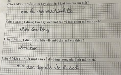 "Đến Thượng Đế cũng phải cười" với học sinh tiểu học!