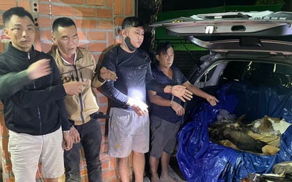 Đột kích "công xưởng" giết mổ chó trộm ở Tây Ninh, bắt giữ nhiều đối tượng