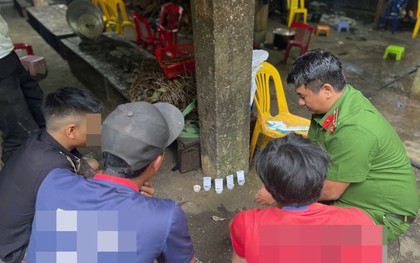 Đà Nẵng: Thử test ma túy đột xuất 39 công nhân làm việc tại các vườn trồng sâm Ngọc Linh