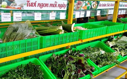 Một “đại gia” tuyển người cùng bán rau, thu nhập có thể lên đến 30 triệu đồng