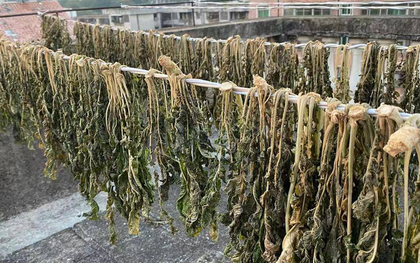 Đừng chỉ ăn củ, lá loại cây này được ví như "chổi quét" tự nhiên cho đường ruột