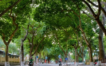 Từ nay đến 23/10, toàn bộ người dân Hà Nội sẽ được miễn phí 100% dịch vụ này