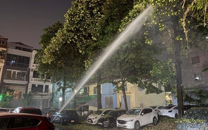 Mùi hương hoa sữa khiến người dân Thủ đô khó chịu: Đơn vị quản lý nói gì?